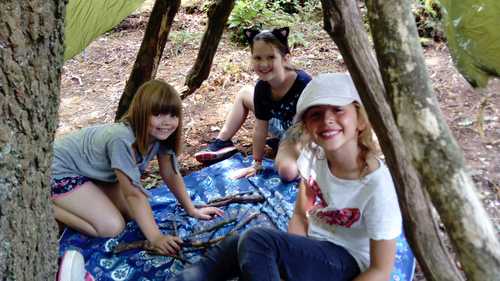 Serious den building!